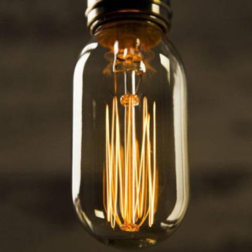 Vintage Light Bulb Squirrel Cage Filament T14 - 40 Watt - Clear - Nostalgicbulbs.com