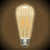 LED Filament ST19 Vintage Bulb - 4.5 Watt - 60 Watt Equal - Dimmable