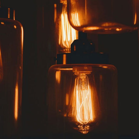 Edison Bulb - 40 Watt - 5.5 In. Length - Squirrel Cage Filament - Clear - Nostalgicbulbs.com