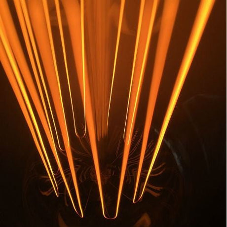 Edison Bulb - 40 Watt - 5.5 In. Length - Squirrel Cage Filament - Clear - Nostalgicbulbs.com