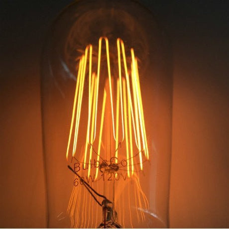 Edison Bulb - 60 Watt - 5.5 In. Length - Squirrel Cage Filament - Clear - Nostalgicbulbs.com