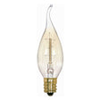 Flame Tip Carbon Filament Vintage Light Bulb - Clear 25 Watt - Nostalgicbulbs.com