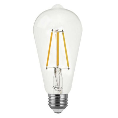LED Edison Bulb | Edison Light Bulb – Nostalgicbulbs.com
