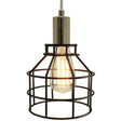 Nickel Plug-In Cage Pendant Lamp - 15 ft. Clear Cord and On/Off Switch - Nostalgicbulbs.com