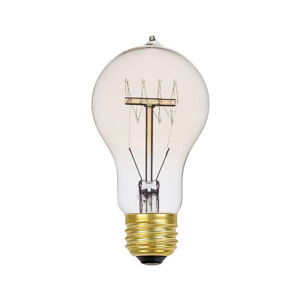 Victorian Loop Vintage A19 Light Bulb 40 Watt - Clear - Nostalgicbulbs.com