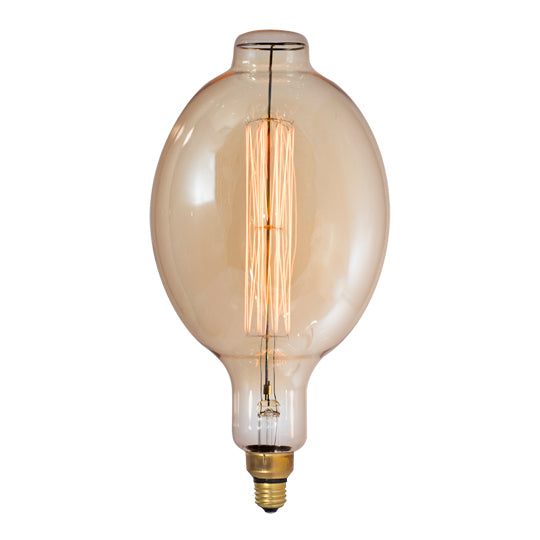 Large Edison Light Bulb