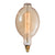 Large Edison Light Bulb