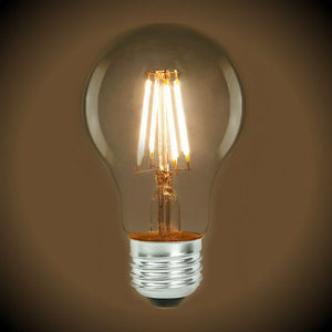 LED Edison A19 Bulb
