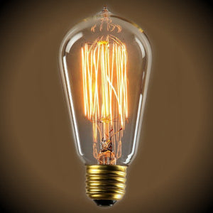 Edison 40 Watt Vintage Antique Light Bulb - Clear