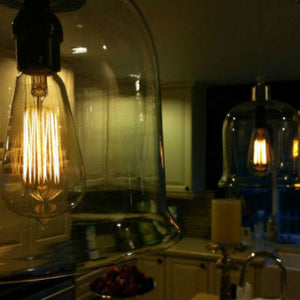 Edison 60 Watt Vintage Antique Light Bulb - 5.5 in. Length - Clear