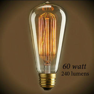 Edison 60 Watt Vintage Antique Light Bulb - 5.5 in. Length - Clear