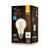 Euri Filament LED Bulb A19