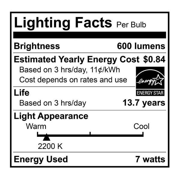 LED Filament A19 Bulb Lighting Facts