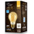 LED Filament A19 Bulb Packaging