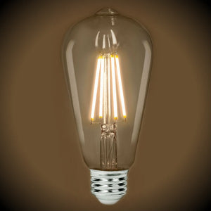 LED Edison Bulb - Clear